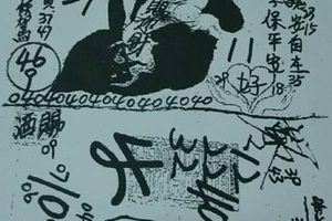 1/19  慶安宮-六合彩參考.jpg