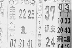 4/6  鐵籤-六合彩參考.jpg