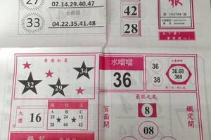 2/25  中國少年民報-六合彩參考.jpg
