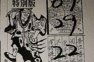 2/25  嘉義濟公禪堂 特別版 -六合彩參考.jpg