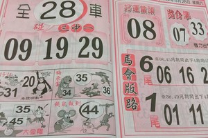 3/2  馬會版路-六合彩參考.jpg