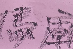 3/14  媽廟-六合彩參考.jpg