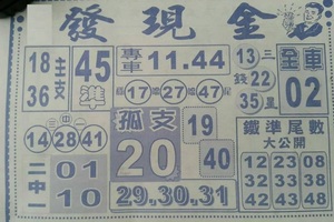 3/21  發現金-六合彩參考.jpg