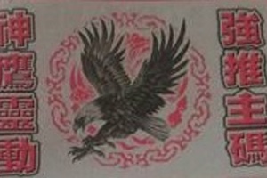 5/9-5/14  神鷹靈動-六合彩參考.jpg