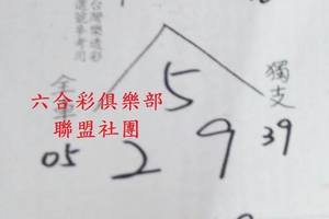 5/16  草山+茅山道人-六合彩參考.jpg
