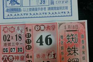 5/18  武報+發現金+蜘蛛網-六合彩參考.jpg