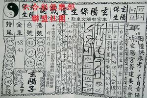 5/27  玄陽保生堂-六合彩參考.jpg