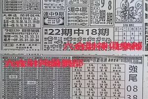5/30  高手彩報-六合彩參考.jpg