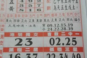 6/1  聖母寶鑑-六合彩參考.jpg
