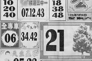 3/4  大樹公-六合彩參考.jpg