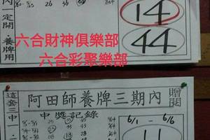 6/3-6/6  阿田師養牌三期內-六合彩參考.jpg