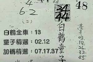 6/3  白鶴童子-六合彩參考.jpg