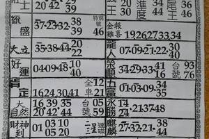 6/3  六合彩參考資料-六合彩參考.jpg