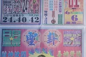 6/6  正旺-六合彩參考.祝大家中獎