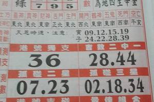 6/6  聖母寶鑑-六合彩參考.jpg
