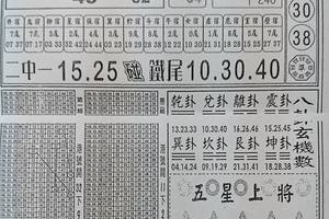 6/8  高手彩報-六合彩參考.jpg