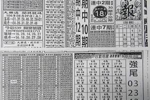6/13  高手彩報-六合彩參考.jpg