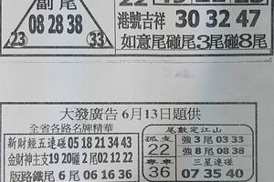 6/13  台北鐵報夾報-六合彩參考.jpg