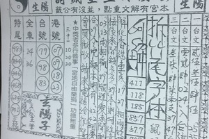6/13-6/17  玄陽保生堂-六合彩參考.jpg