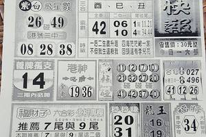 6/15  六合快報-六合彩參考.jpg