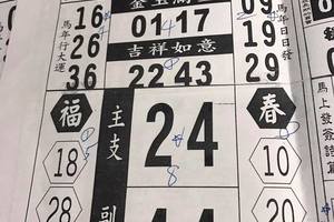 6/15  馬上發特刊-六合彩參考.jpg