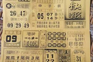 7/8  六合快報-六合彩參考.jpg