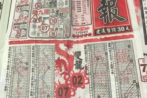 7/8  龍報-六合彩參考. 祝大家中獎.jpg