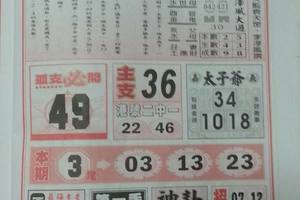 7/8  聖母寶鑑-六合彩參考.jpg