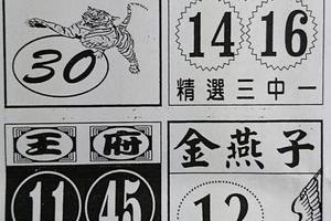 7/11  石頭公-六合彩參考.jpg