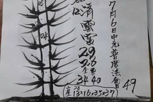 7/11-7/13  濟雲宮-六合彩參考.jpg