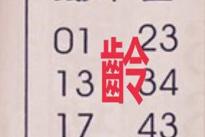 7/13  鐵不出-六合彩參考.JPG