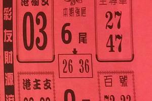 7/27  鶴仙子手冊-六合彩參考.jpg