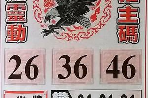8/5  神鷹靈動-六合彩參考.jpg