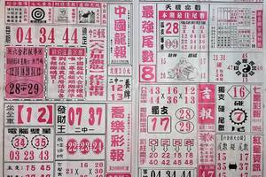8/5  中國龍報-六合彩參考.jpg