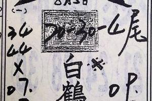 8/5  白鶴仙姑-六合彩參考.jpg