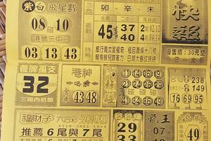 8/8  六合快報-六合彩參考.jpg