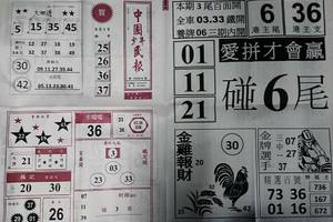 8/10  中國少年民報-六合彩參考.jpg