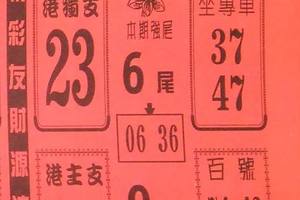 8/10  鶴仙子手冊-六合彩參考.jpg
