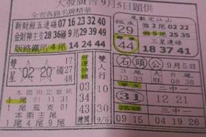 9/5  大發廣告-六合彩參考.jpg