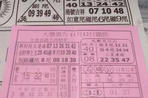 11/12  大發廣告-六合彩參考.jpg