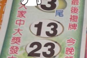 11/12  鑽石尾-六合彩參考.jpg