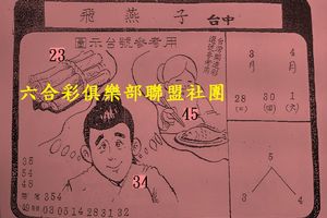 3/30-4/1  飛燕子-六合彩參考.jpg