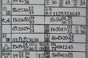 3/11  六合彩參考資料-六合彩參考.jpg