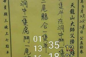 3/28  天龍山-六合彩參考.jpg