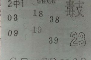 2/21  營-六合彩參考.jpg