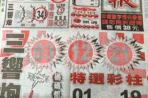 2/25  响報-六合彩參考.jpg