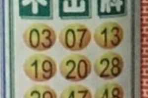 3/7  港不出-六合彩參考.jpg