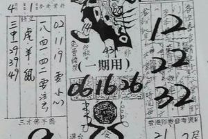 4/1  嘉義濟公禪堂 特別版 -六合彩參考.jpg