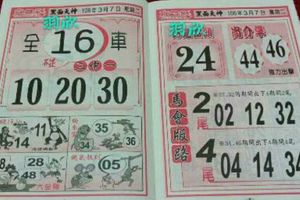 3/7  馬會版路-六合彩參考.jpg