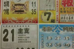 3/7  火報-六合彩參考.jpg